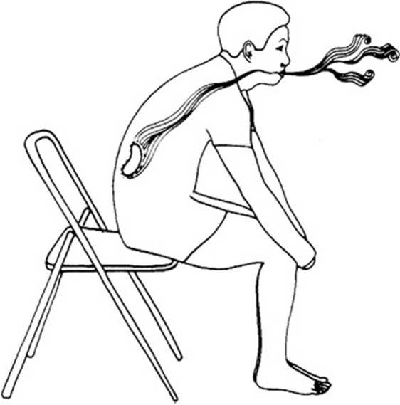 Иллюстрация к книге — Идеальное зрение без очков и операций. Восточные и западные методики естественного восстановления зрения [i_035.jpg]