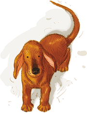 Иллюстрация к книге — Карлсон, который живет на крыше, опять прилетел [i_029.jpg]