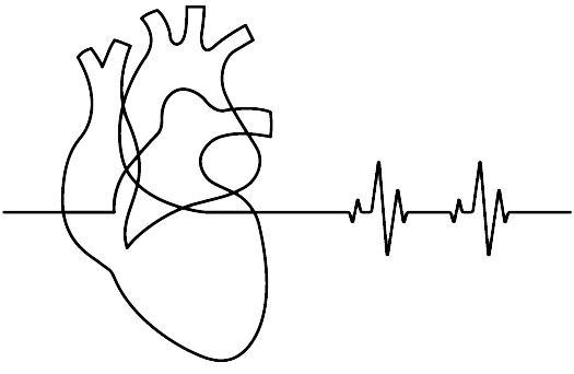 Иллюстрация к книге — Сердце. Как не дать ему остановиться раньше времени [i_027.jpg]