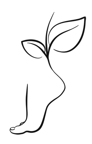 Иллюстрация к книге — Внутривенно. Что происходит с сосудами, по которым движется ваша кровь, как вылечить то, что уже болит, и не допустить проблем в будущем [i_007.jpg]