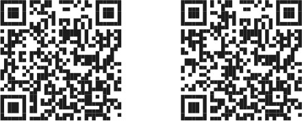 Иллюстрация к книге — Викинги. История эпохи. 793–1066 [i_064.jpg]