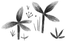 Иллюстрация к книге — Здесь, вреальном мире [i_002.jpg]