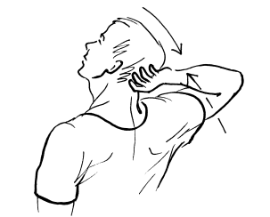 Иллюстрация к книге — Сохраните зрение! Лечебная гимнастика по Фохтину против близорукости, дальнозоркости, глаукомы, катаракты [i_064.jpg]