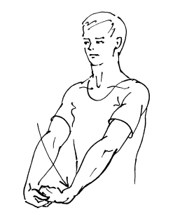 Иллюстрация к книге — Сохраните зрение! Лечебная гимнастика по Фохтину против близорукости, дальнозоркости, глаукомы, катаракты [i_086.jpg]