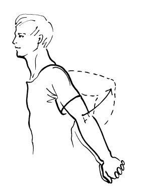 Иллюстрация к книге — Сохраните зрение! Лечебная гимнастика по Фохтину против близорукости, дальнозоркости, глаукомы, катаракты [i_104.jpg]