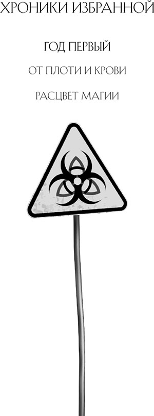 Иллюстрация к книге — Год первый [i_002.jpg]