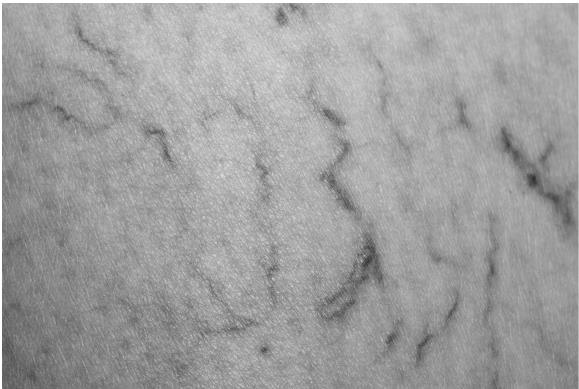 Иллюстрация к книге — О чем молчит печень. Как уловить сигналы самого крупного внутреннего органа, который предпочитает оставаться в тени [i_018.jpg]