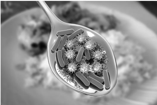 Иллюстрация к книге — О чем молчит печень. Как уловить сигналы самого крупного внутреннего органа, который предпочитает оставаться в тени [i_036.jpg]