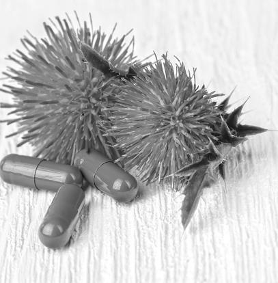 Иллюстрация к книге — О чем молчит печень. Как уловить сигналы самого крупного внутреннего органа, который предпочитает оставаться в тени [i_119.jpg]