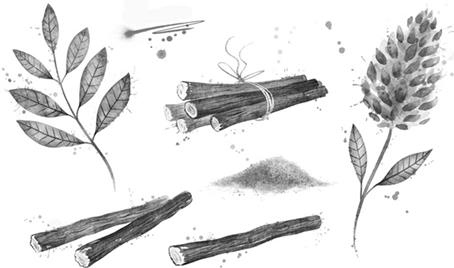 Иллюстрация к книге — О чем молчит печень. Как уловить сигналы самого крупного внутреннего органа, который предпочитает оставаться в тени [i_122.jpg]