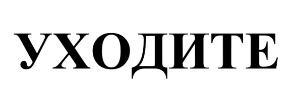 Иллюстрация к книге — Сэхсвет [image2_5f1f0477fe92d800072f897d_jpg.jpg]