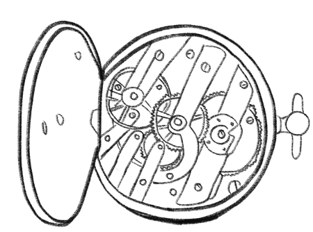 Иллюстрация к книге — История зрения: путь от светочувствительности до глаза [i_001.jpg]