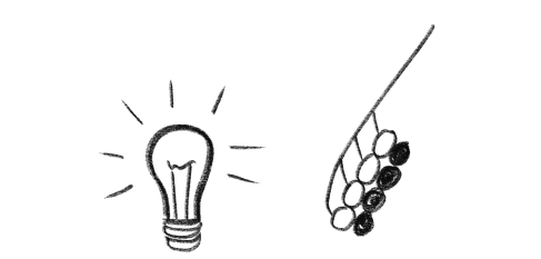 Иллюстрация к книге — История зрения: путь от светочувствительности до глаза [i_005.jpg]