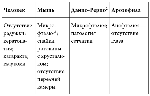 Иллюстрация к книге — История зрения: путь от светочувствительности до глаза [i_011.jpg]