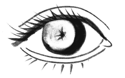 Иллюстрация к книге — История зрения: путь от светочувствительности до глаза [i_014.jpg]