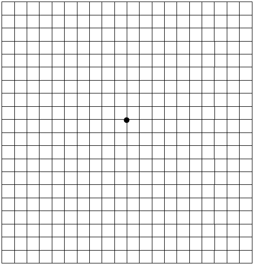 Иллюстрация к книге — История зрения: путь от светочувствительности до глаза [i_034.jpg]