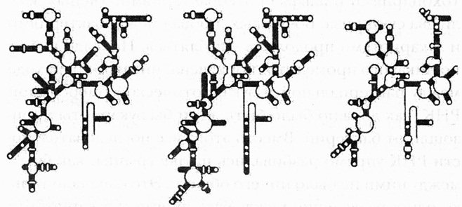 Иллюстрация к книге — Кислород. Молекула, изменившая мир [i_009.jpg]