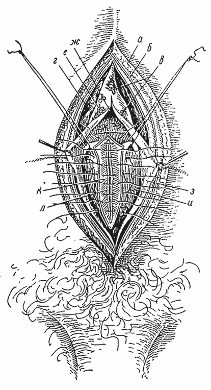 Иллюстрация к книге — Спасая жизни. Дневник военного хирурга [i_003.jpg]