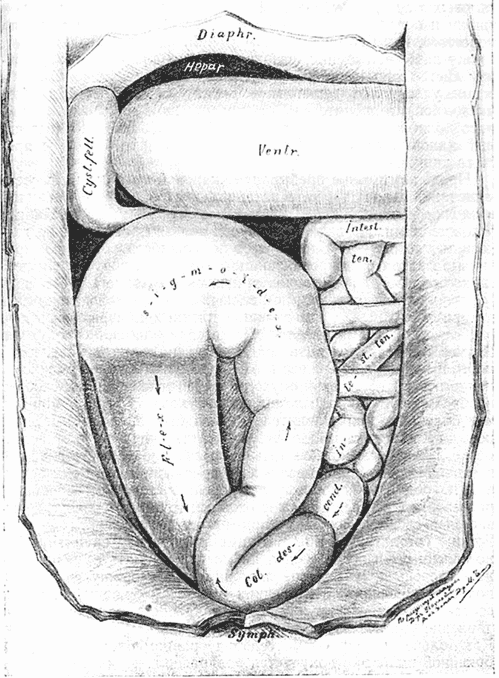 Иллюстрация к книге — Спасая жизни. Дневник военного хирурга [i_004.jpg]