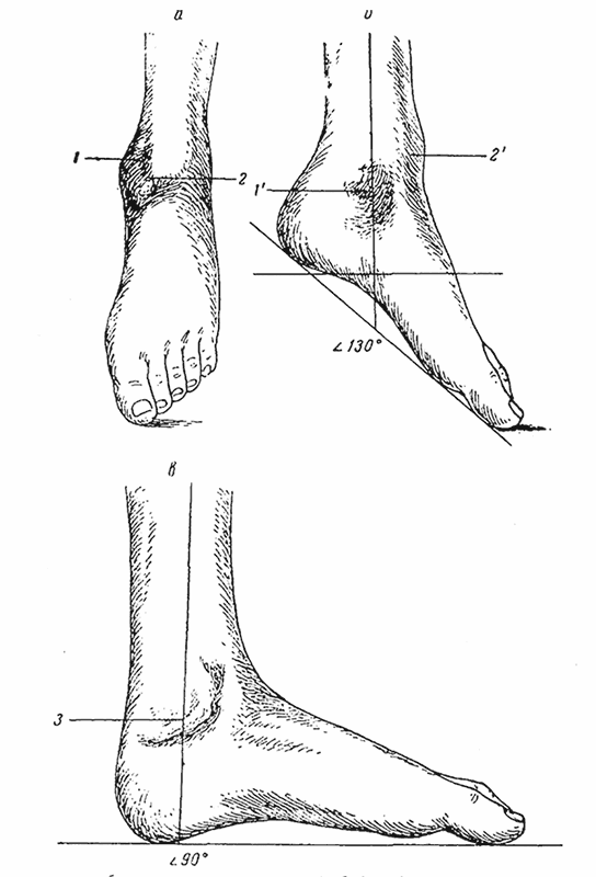 Иллюстрация к книге — Спасая жизни. Дневник военного хирурга [i_007.jpg]