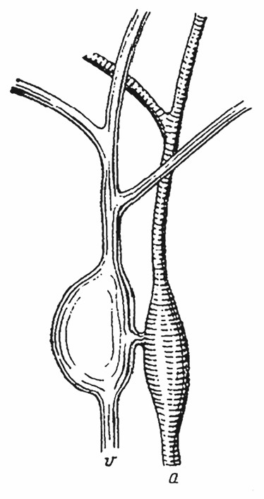 Иллюстрация к книге — Спасая жизни. Дневник военного хирурга [i_009.jpg]