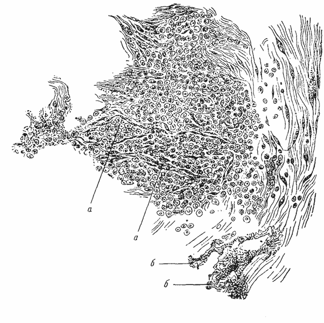 Иллюстрация к книге — Спасая жизни. Дневник военного хирурга [i_011.jpg]