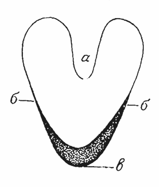 Иллюстрация к книге — Спасая жизни. Дневник военного хирурга [i_013.jpg]