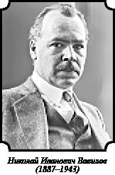 Иллюстрация к книге — Стратегия Второй мировой. Восточный фронт [i_118.jpg]