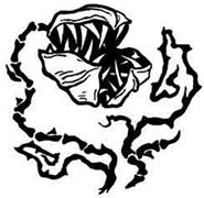 Иллюстрация к книге — Навия. Проклятие [i_009.jpg]