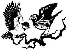 Иллюстрация к книге — Навия. Проклятие [i_013.jpg]