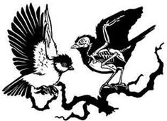 Иллюстрация к книге — Навия. Проклятие [i_035.jpg]