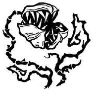 Иллюстрация к книге — Навия. Проклятие [i_037.jpg]