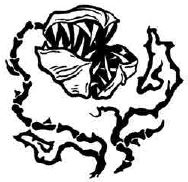 Иллюстрация к книге — Навия. Проклятие [i_043.jpg]