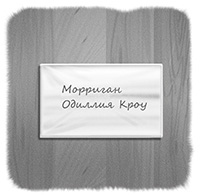 Иллюстрация к книге — Вундермастер. Призвание Морриган Кроу [i_054.jpg]