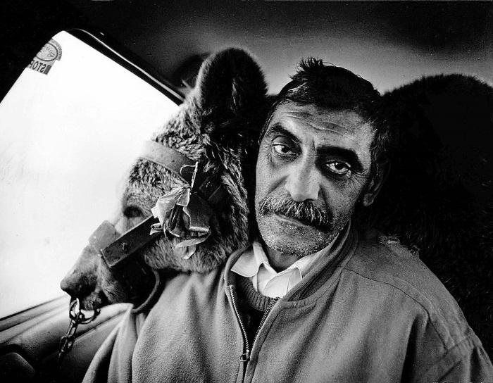 Иллюстрация к книге — Танцующие медведи. Опыт обретения свободы [img_13.jpg]