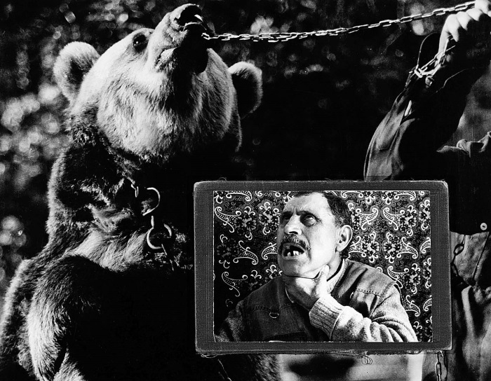 Иллюстрация к книге — Танцующие медведи. Опыт обретения свободы [img_15.jpg]