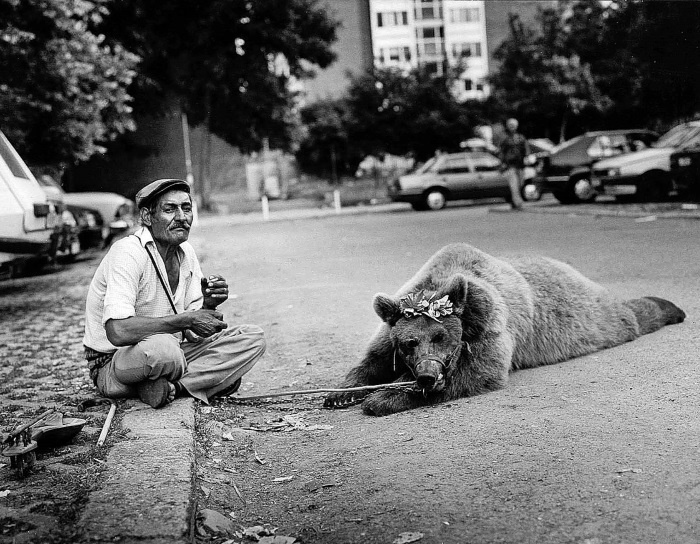 Иллюстрация к книге — Танцующие медведи. Опыт обретения свободы [img_6.jpg]