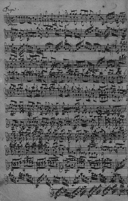 Иллюстрация к книге — Музыкальный инстинкт. Почему мы любим музыку [i_170.jpg]