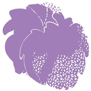 Иллюстрация к книге — 13 ключей к пониманию себя, своего окружения и своих отношений [i_009.jpg]