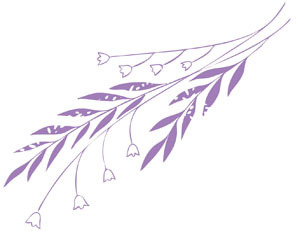 Иллюстрация к книге — 13 ключей к пониманию себя, своего окружения и своих отношений [i_029.jpg]