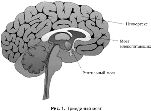 Иллюстрация к книге — 125 лет кинодраматургии. От братьев Люмьер до братьев Нолан [i_001.jpg]