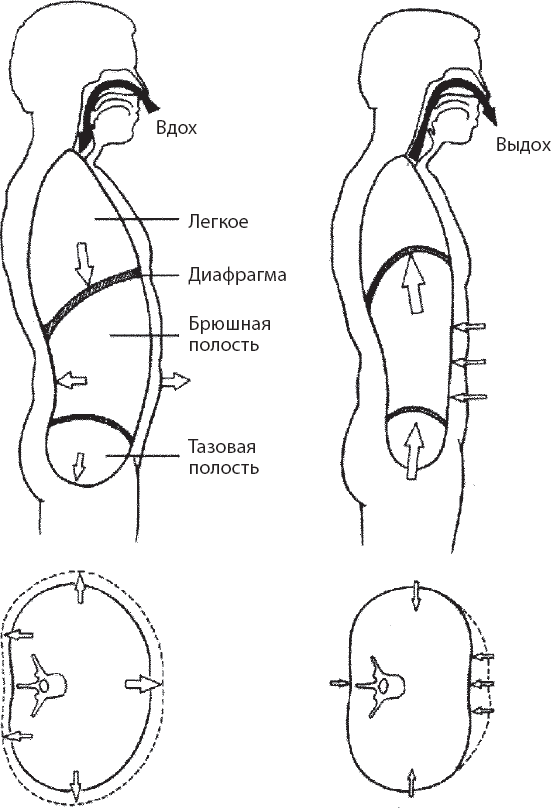 Иллюстрация к книге — Мульти-оргазмический мужчина. Как каждый мужчина может испытать множественный оргазм и сделать потрясающими свои сексуальные отношения [i_005.jpg]