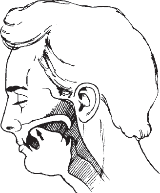 Иллюстрация к книге — Мульти-оргазмический мужчина. Как каждый мужчина может испытать множественный оргазм и сделать потрясающими свои сексуальные отношения [i_011.jpg]