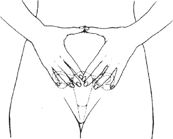 Иллюстрация к книге — Мульти-оргазмический мужчина. Как каждый мужчина может испытать множественный оргазм и сделать потрясающими свои сексуальные отношения [i_034.jpg]