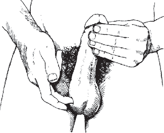 Иллюстрация к книге — Мульти-оргазмический мужчина. Как каждый мужчина может испытать множественный оргазм и сделать потрясающими свои сексуальные отношения [i_037.jpg]