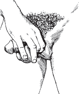 Иллюстрация к книге — Мульти-оргазмический мужчина. Как каждый мужчина может испытать множественный оргазм и сделать потрясающими свои сексуальные отношения [i_038.jpg]