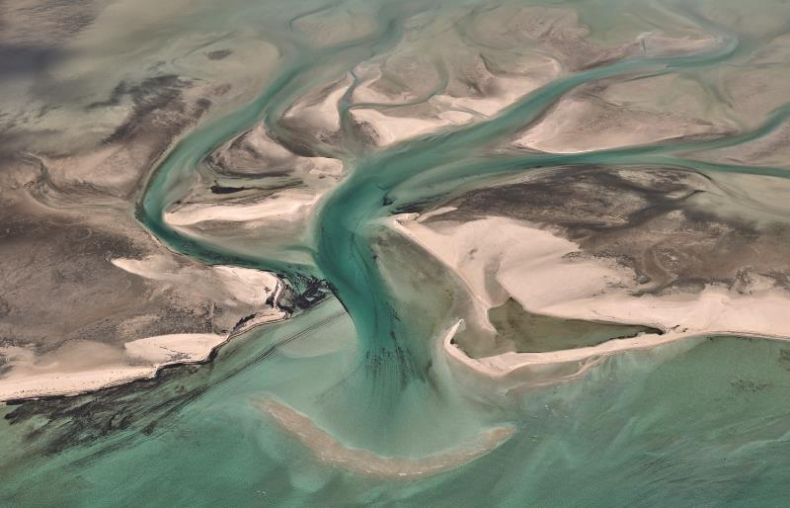 Иллюстрация к книге — Жизнь в удовольствие [i_005.jpg]