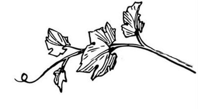 Иллюстрация к книге — Великолепная Прага. Город золотого волшебства [img_12.jpg]