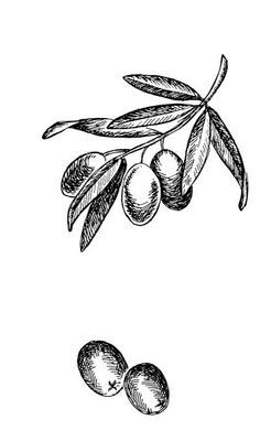 Иллюстрация к книге — Великолепная Прага. Город золотого волшебства [img_13.jpg]