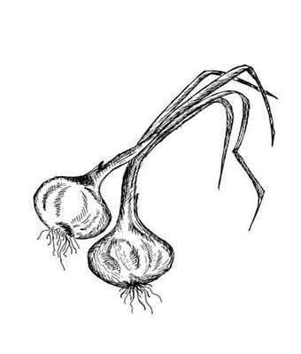 Иллюстрация к книге — Великолепная Прага. Город золотого волшебства [img_18.jpg]